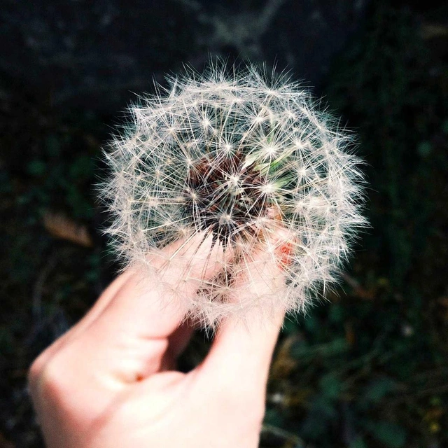 【模拟】哑光名片套装